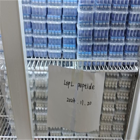 Shipping Stock